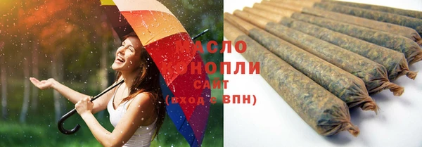 СК Михайлов