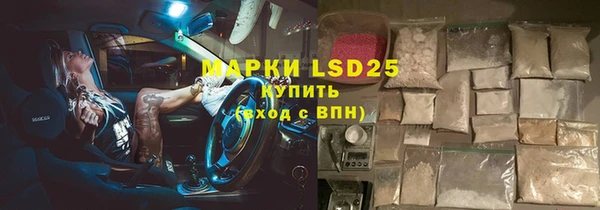 PSILOCYBIN Навашино