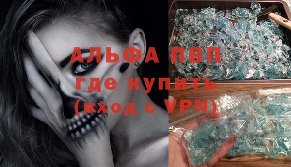 PSILOCYBIN Навашино