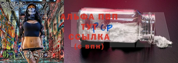 Альфа ПВП Надым
