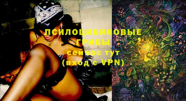 шишки Михайловка