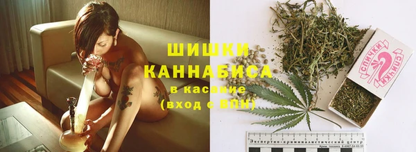 Альфа ПВП Надым